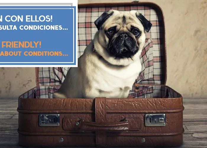 شقة Brujula Ground Floor Indoor By Cadiz4rentals *