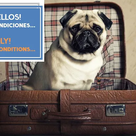 Appartamento Brujula Ground Floor Indoor By Cadiz4rentals *