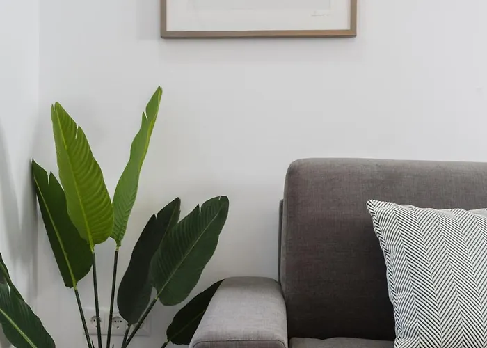 Brujula Ground Floor Indoor By Cadiz4rentals